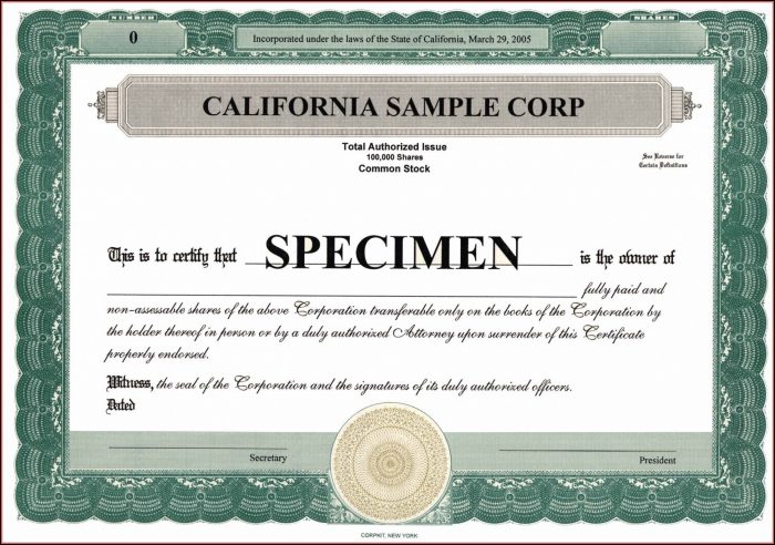 Free Stock Certificate Template Microsoft Word Free Stock Certificate Template Microsoft Word