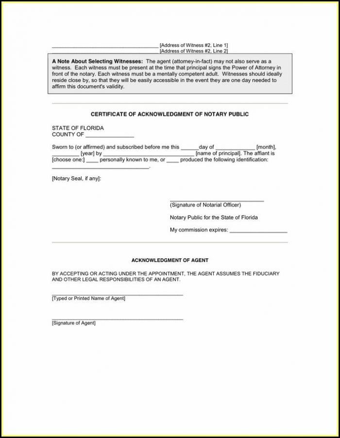 General Power Of Attorney Form Florida Pdf General Power Of Attorney Form Florida Pdf