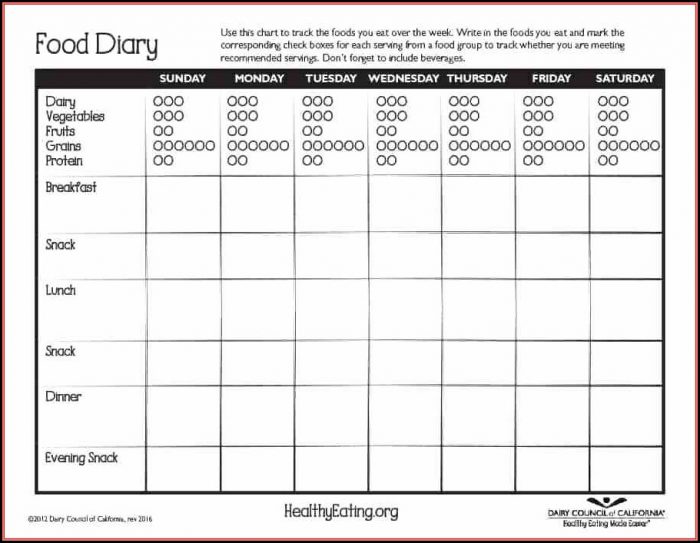 Health And Fitness Journal Template Health And Fitness Journal Template