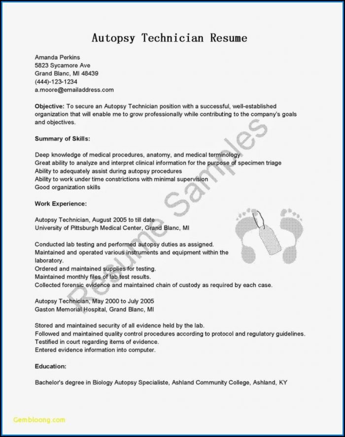 Internship Resume Template Free Download Internship Resume Template Free Download