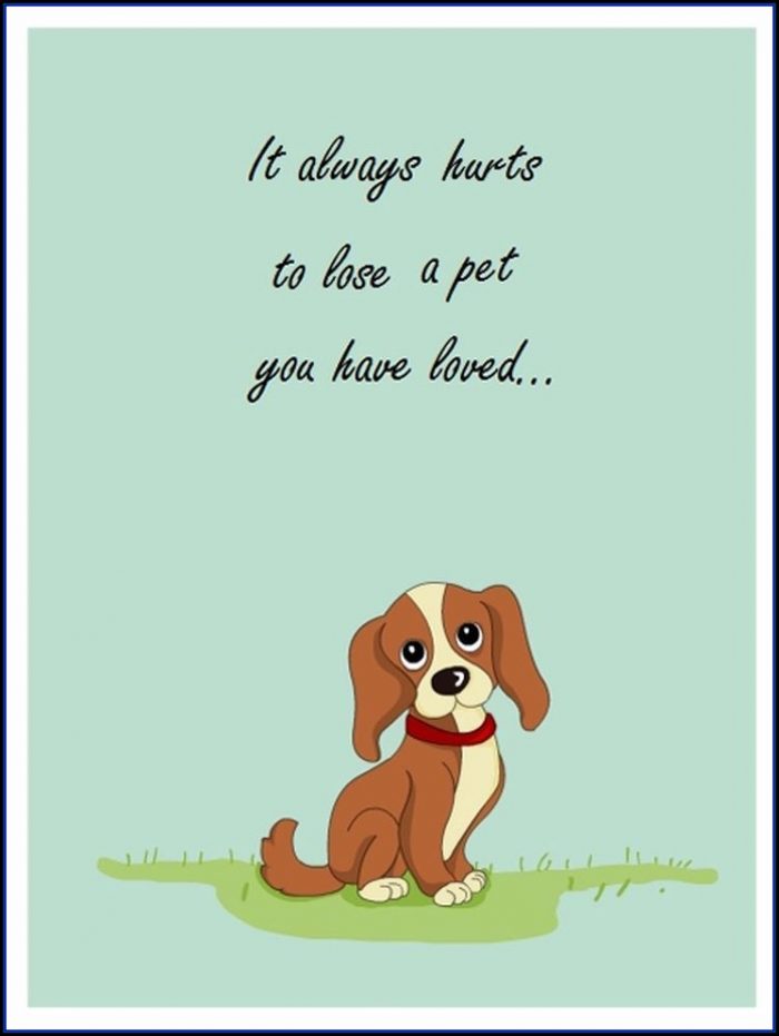 Pet Sympathy Card Template Pet Sympathy Card Template