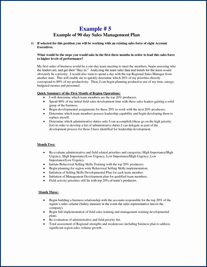 Sales Rep Business Plan Template Sales Rep Business Plan Template