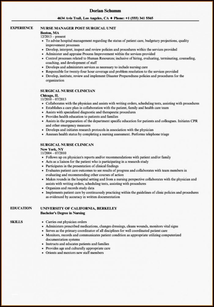 Free Nursing Resume Templates 2019 Free Nursing Resume Templates 2019