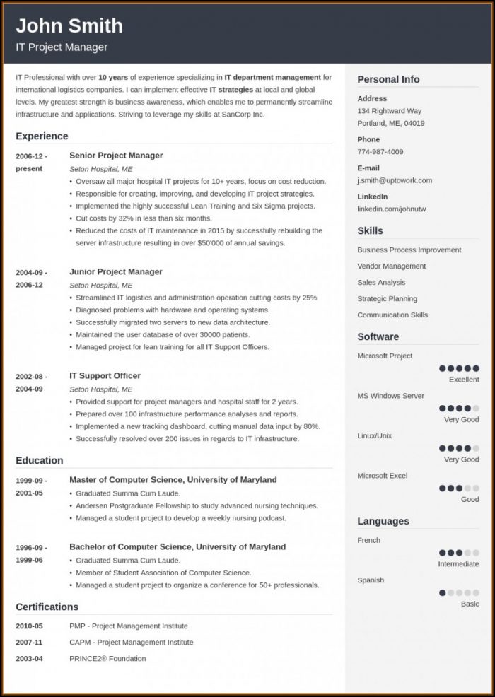 Free Nursing Student Resume Template Free Nursing Student Resume Template