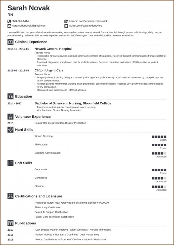 Free Resume Templates For Rn Free Resume Templates For Rn