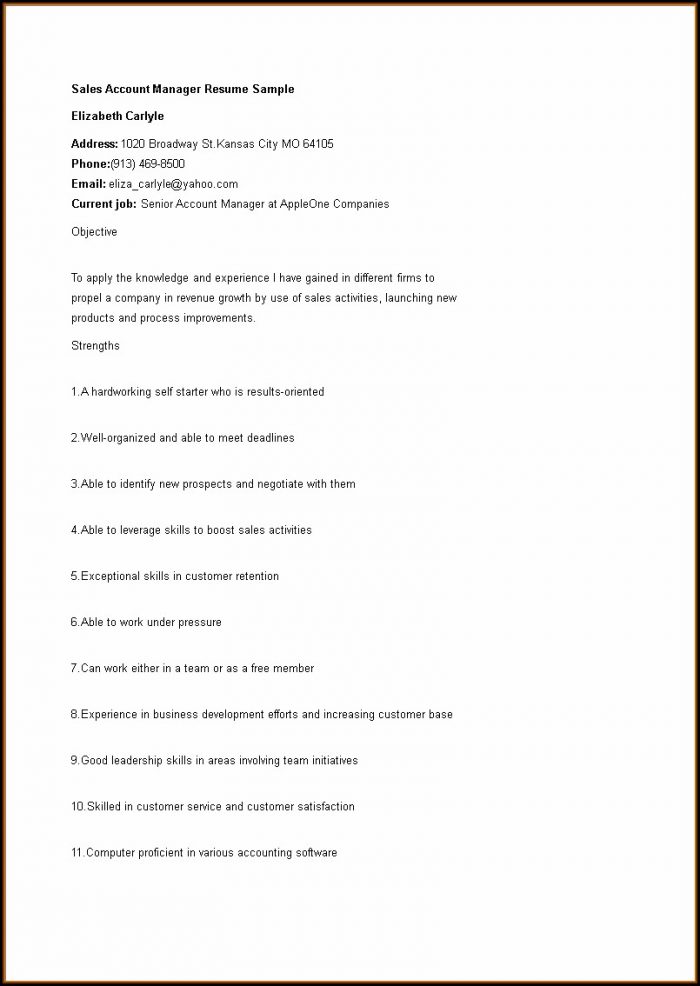 Free Sales Manager Resume Templates Free Sales Manager Resume Templates