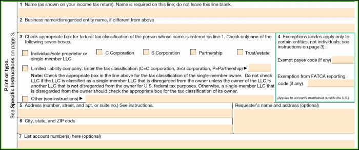 Irs W 9 Form Fillable Online Irs W 9 Form Fillable Online