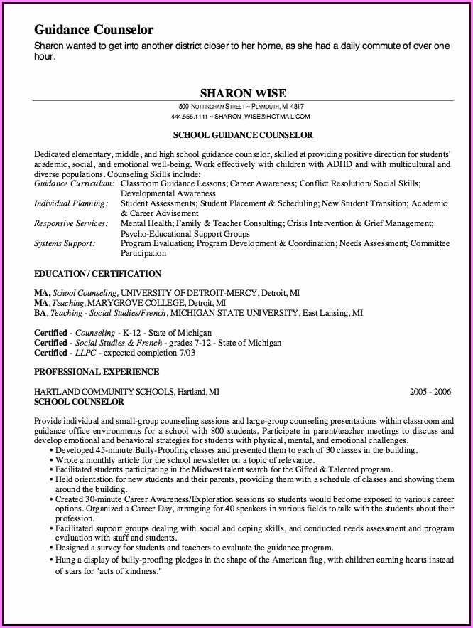 Mental Health Counselor Resume Template Mental Health Counselor Resume Template