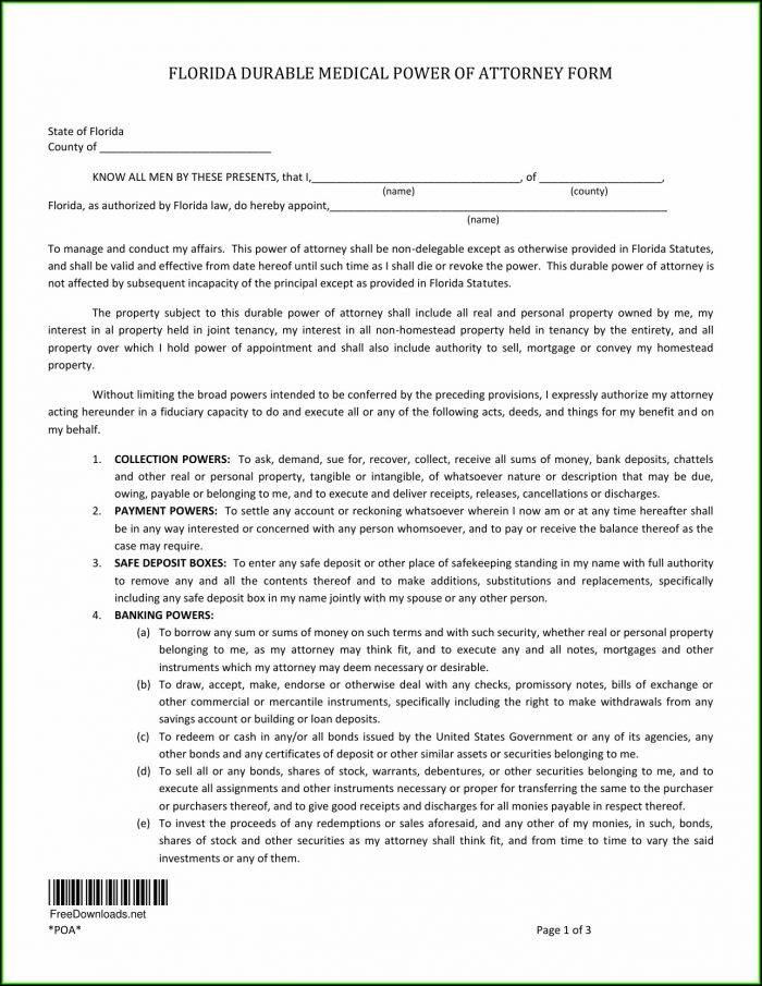 Power Of Attorney Form Florida Pdf Power Of Attorney Form Florida Pdf