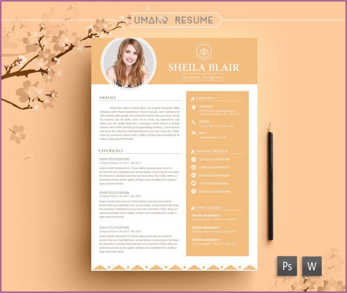 Printable Resume Templates Examples Printable Resume Templates Examples
