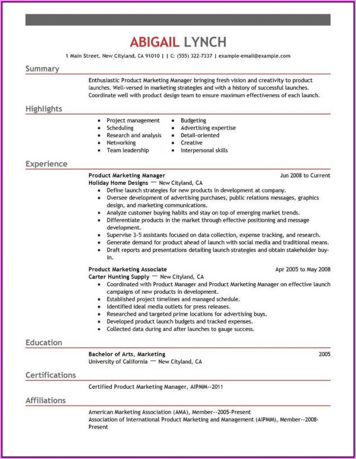 Resume Examples For Professionals Resume Examples For Professionals