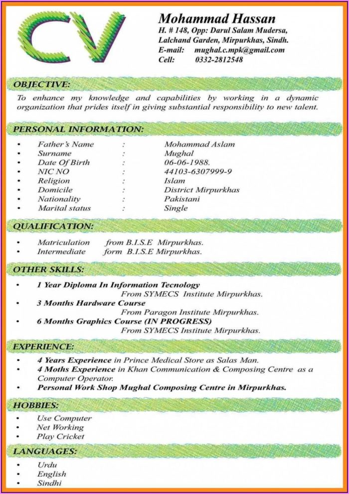 Resume Format Download In Ms Word In India Resume Format Download In Ms Word In India