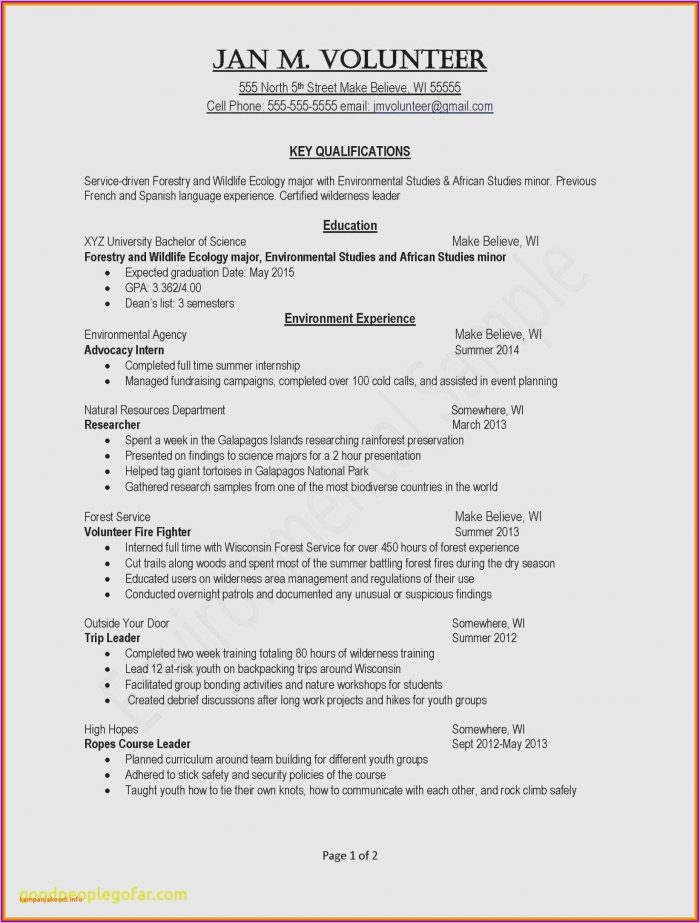 Resume Formatting Examples Resume Formatting Examples