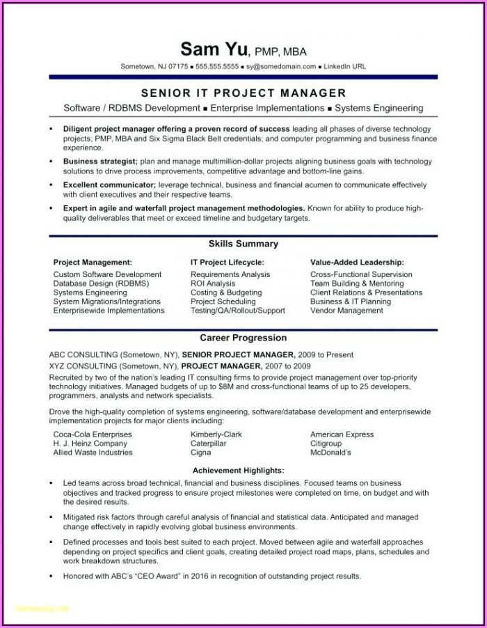 Sales Manager Resume Templates Word Sales Manager Resume Templates Word