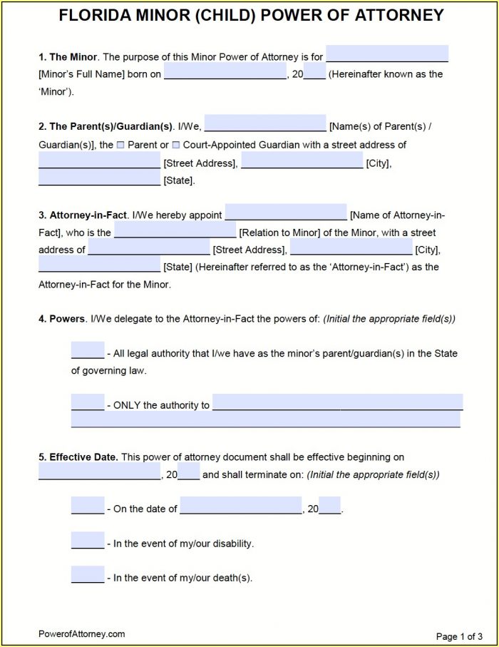 State Of Florida Durable Power Of Attorney Form Free State Of Florida Durable Power Of Attorney Form Free