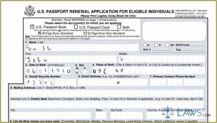 United States Passport Renewal Form Ds 11 United States Passport Renewal Form Ds 11