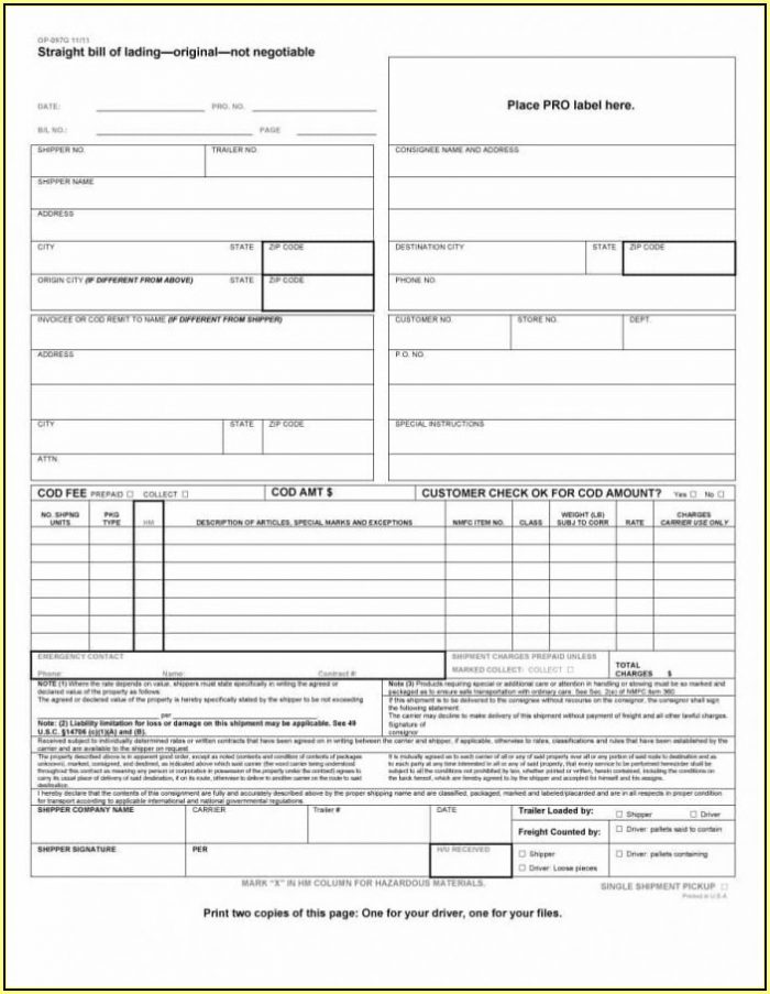 Ups Freight Bill Of Lading Form Ups Freight Bill Of Lading Form